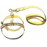Coleira Peitoral c/ Guia para Cães Emily Floral Dourada Bicho com Luxo