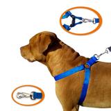 Coleira Peitoral Cachorro Raça Média Grande Golden Labrador* - Rb