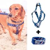 Coleira peitoral e Guia com trava - NAVY - TAM P - Walkiedog