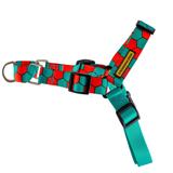 Coleira Peitoral Easy Walk para cachorro Honey - Cachorreiros