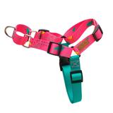 Coleira Peitoral Easy Walk para cachorro Olivia - Cachorreiros