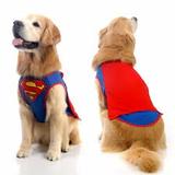 Colete super homem luxo - sula pet p. :7899783917369