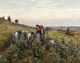 Colheita da Uva - Daniel Ridgway Knight - Tela 30x38 Para Quadro - Santhatela