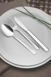 Colher Mesa Inox Malibu - Tramontina