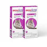 Combo 2 Unidades Bravecto para Gatos Anti Pulgas e Carrapatos 6,25 a 12,5kg - Msd