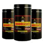 Combo 3 produtos Anabolizante Capilar Prolinehair