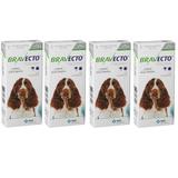 Combo Bravecto Antipulgas E Carrapatos Para Cães De 10 - 20kg - 4 unidades - Msd