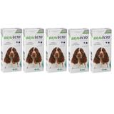 Combo Bravecto Antipulgas E Carrapatos Para Cães De 10 - 20kg - 5 unidades - Msd