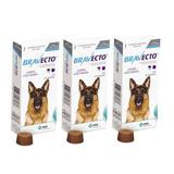 Combo Bravecto Antipulgas E Carrapatos Para Cães De 20 - 40kg - 3 unidades - Msd