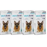Combo Bravecto Antipulgas E Carrapatos Para Cães De 20 - 40kg - 4 unidades - Msd