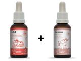 Combo tratamento floral para Pet Cães Gatos Estressados: Estresse + Resgate Sos Rescue - Floral de Emergência - Bioflorais