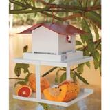 Comedouro Anti Formiga para Pássaros Automático para Frutas e Ração - Fercar