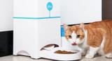 Comedouro Automático Com Aplicativo Playpet - Blue PB