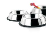Comedouro Inox 2 - Chalesco