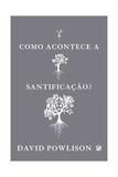 Como Acontece A Santificação David Powlison - Editora fiel