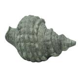 Concha decorativa de resina - Btc decor