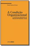 Condicao organizacional: o sentido das organizacoe - Editora ufsm