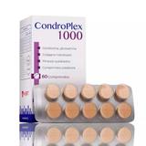 Condroplex 1000 Suplemento P/ Cães E Gatos C/ 60 Comprimidos - Avert