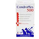 CondroPlex 500 Suplemento alimentar comprimidos - Avert