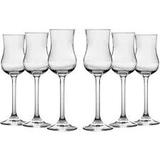 Conjunto 6 Taças Bohemia Gastro Grappa de Cristal Ecológico 85ml -