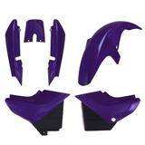 Conjunto Carenagem Pro Tork Moto Ybr 2002/2004 Roxa