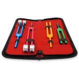 Conjunto de Diapasão MD com Estojo - Colorido