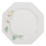 Conjunto de Pratos Rasos de Porcelana Encanto 6 Peças - Schmidt