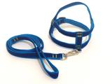 Conjunto Peitoral De Veludo Liso Azul Tamanho 02 - Nica pet