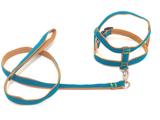 Conjunto Peitoral De Veludo Liso Verde Tamanho 01 - Nica pet