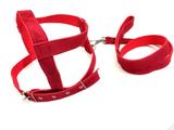Conjunto Peitoral E Guia De Camurça 25Mm Vermelho Tamanho 4 - Nica pet