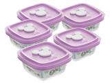 Conjunto Pote de Vidro Quadrado 5 Peças com Tampa - 300ml Nadir Disney Facilita Baby