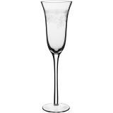 Conjunto Taça de Champagne Louis Clear - 6 Unidades - Gs