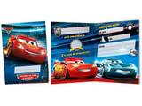 Convite de Aniversário Carros - Regina festas