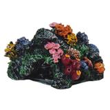 Coral Com Toca decoração Grande enfeite para aquário. - Shop everest