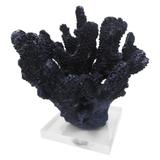 Coral Decorativo em Poliresina Azul Sea - Soul home