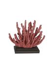 Coral Decorativo em Resina Vermelho 16,4x18,8x10,7cm Vol. 3 - Da