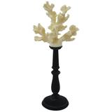 Coral em Poliresina Branco com Suporte Preto - Prime home decor