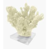Coral Em Poliresina C/base Em Acril Branco - Prime home decor