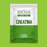 Creatina 5g - 30 sachês - Farmácia eficácia