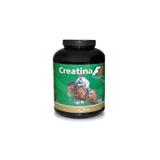 Creatina Syntec - 2,5 kg