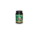 Creatina Syntec - 500 gr
