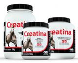 Creatina Vetnil 500gr