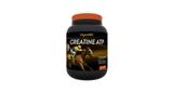Creatine atp 1kg organnact cavalo 1 kg equino cavalo