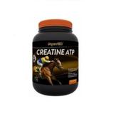 Creatine ATP - 1kg - Organnact