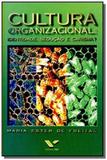 Cultura organizacional - identidade seducao e cari - Fgv