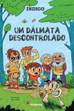 DAMALTA DESCONTROLADO, UM - 2º ED - Moderna literatura