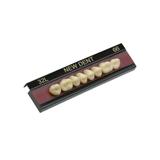 Dente Vipi New Dent Superior Posterior 32L 66