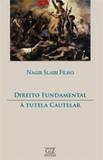 Direito fundamental a tutela cautelar - Gz editora