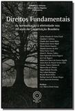 Direitos fundamentais: da normatizacao a efetivida - Boreal