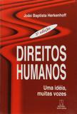 Direitos humanos - uma ideia, muitas vozes - Editora santuário